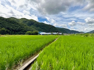 米どころ・岡山