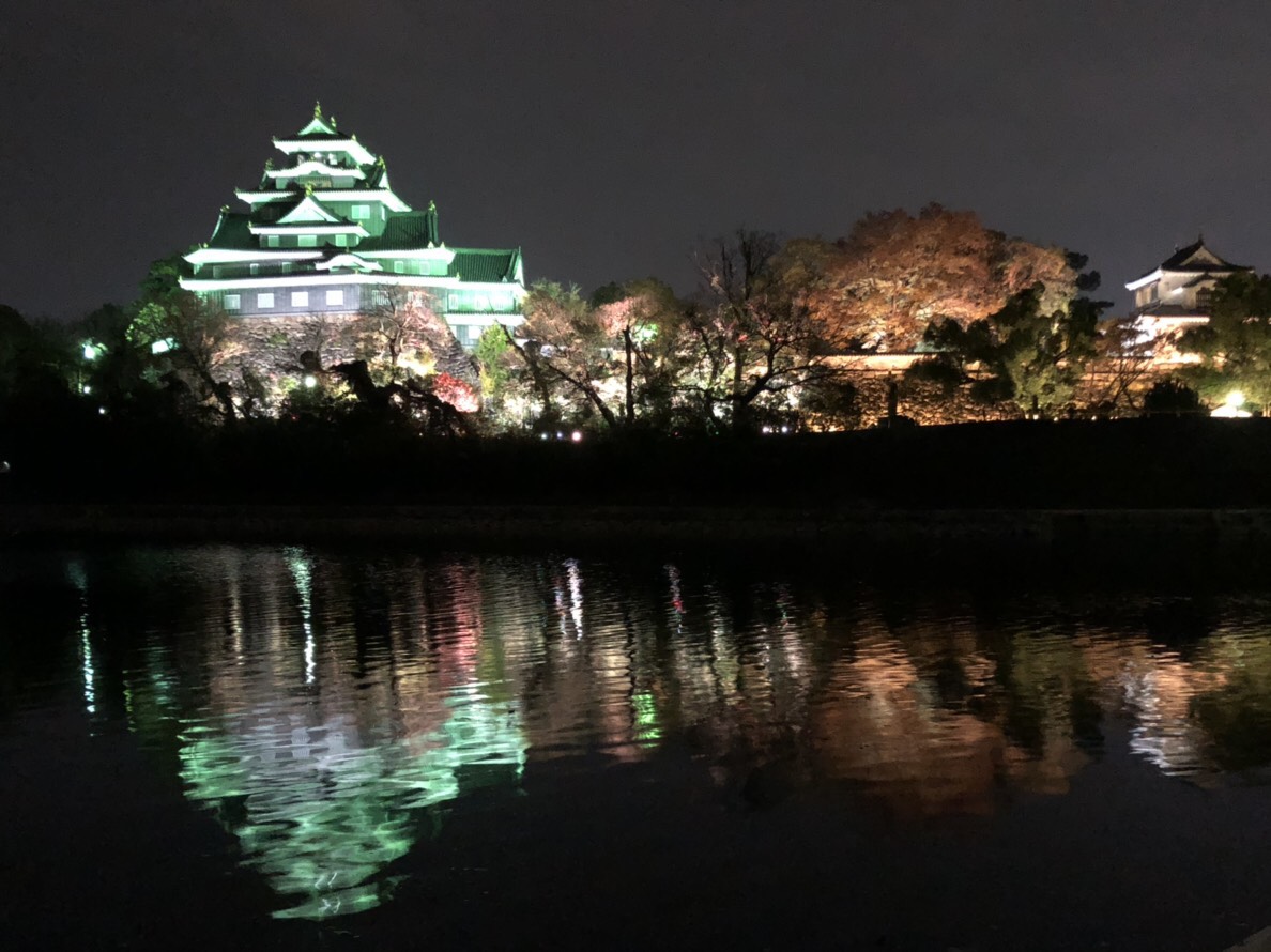 優美な光に彩られた晩秋の庭園と神秘的な岡山城